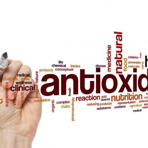 MitoQ Antioxidant Lowers Oxidative Stress, Inflammation in Type 2 Diabetes Cells