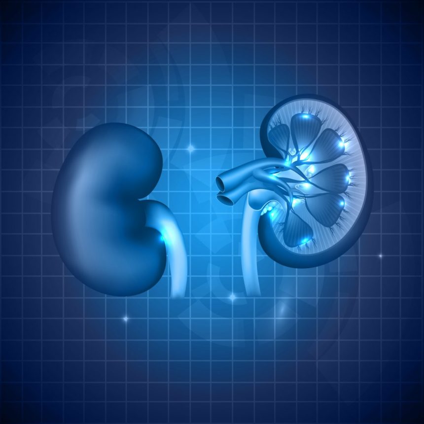 Chronic Kidney Disease Can Cause Diabetes, Study Finds