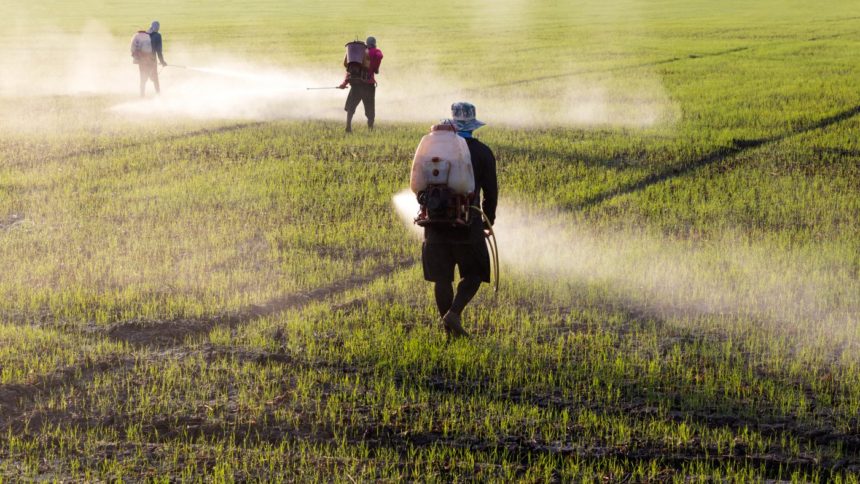 Exposure to Glyphosate in Herbicides Increases Risk of Non-Hodgkin’s Lymphoma, Study Says