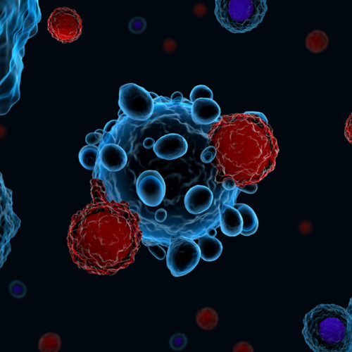 Subtypes of Immune Cells in Tumor Environment Can Predict Follicular Lymphoma Response to Therapy