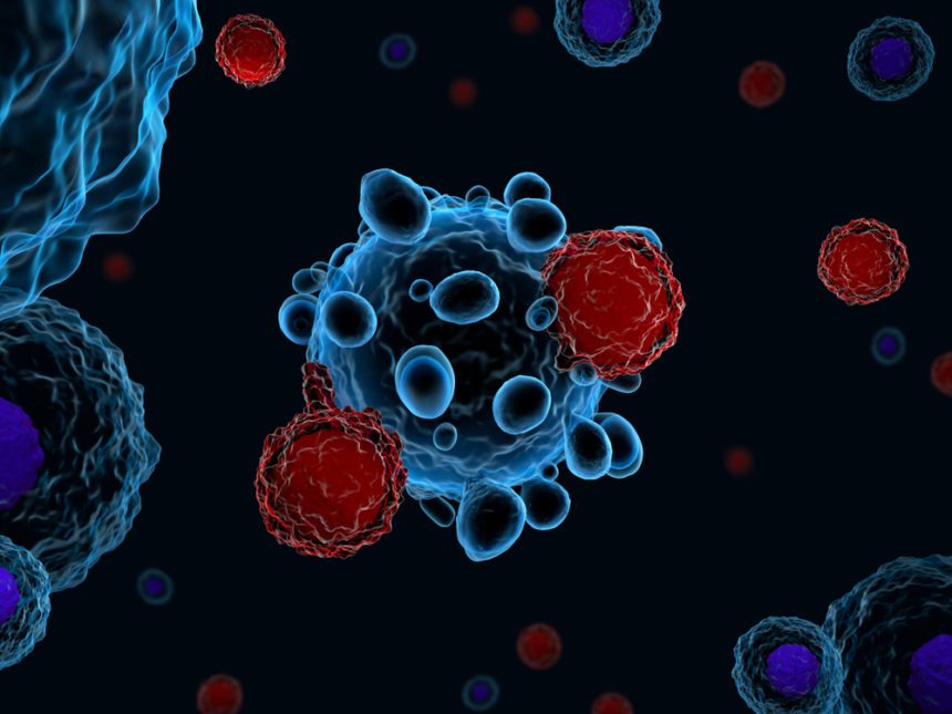 Subtypes of Immune Cells in Tumor Environment Can Predict Follicular Lymphoma Response to Therapy