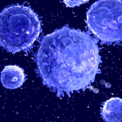 TG Therapeutics’ Umbralisib Proves Safe, Effective for Previously Treated Marginal Zone Lymphoma