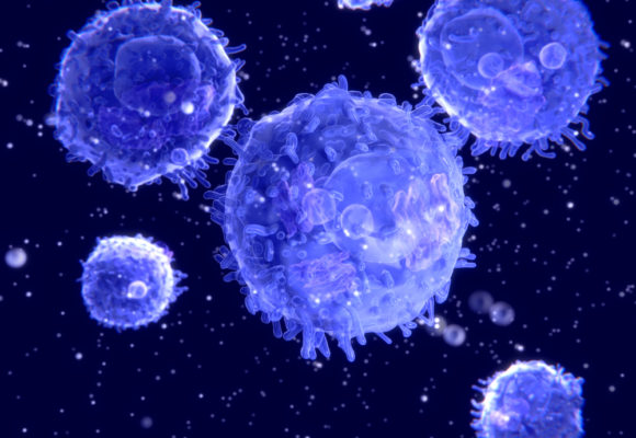 TG Therapeutics’ Umbralisib Proves Safe, Effective for Previously Treated Marginal Zone Lymphoma