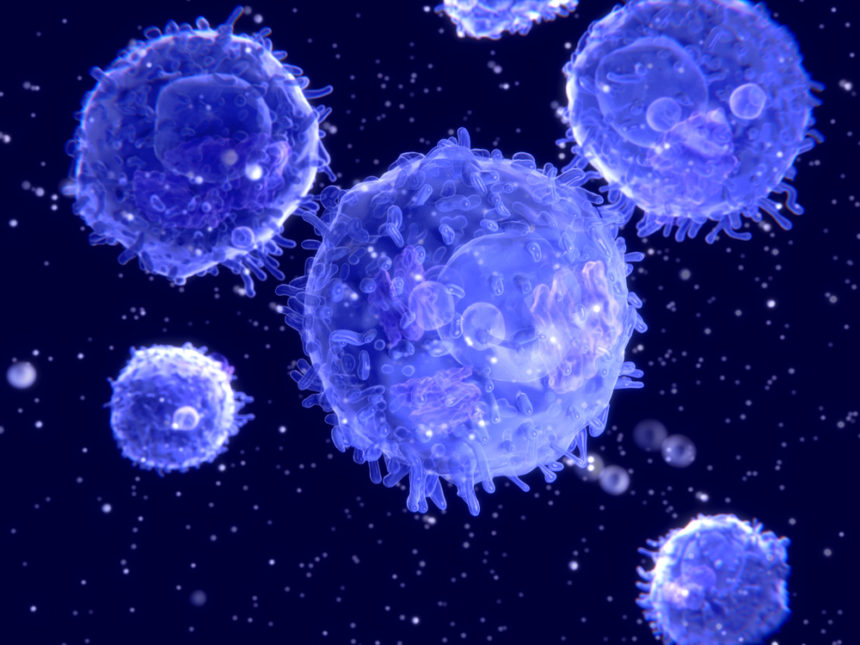 TG Therapeutics’ Umbralisib Proves Safe, Effective for Previously Treated Marginal Zone Lymphoma