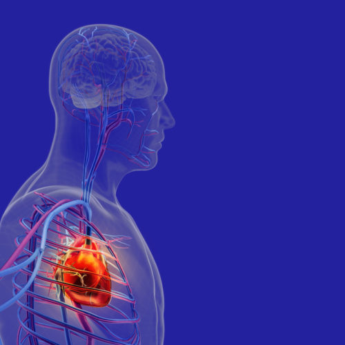 SCMR Promotes Heart MRIs During National Sarcoidosis Awareness Month