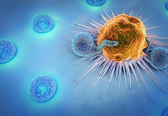 Melanomas with NF-kB Activation Are Easier to Target with Immune Checkpoint Inhibitors, Study Says