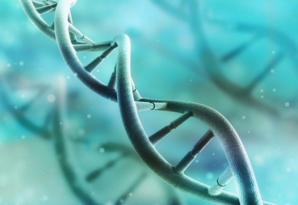 Study Ranks Gene Targets for More Effective, Tailored Cancer Therapies