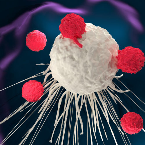 Allogene’s CAR T-cell Therapy Triggers Durable Anti-Tumor Response in Animal Model