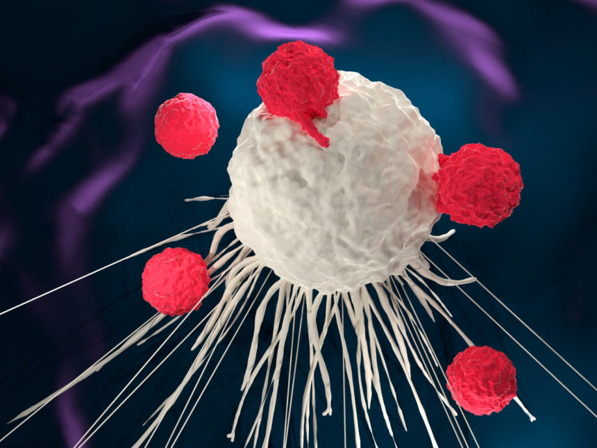 Allogene’s CAR T-cell Therapy Triggers Durable Anti-Tumor Response in Animal Model