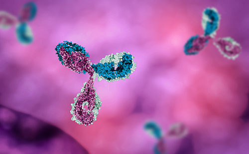 ProMIS’ PMN310 Antibody Candidate Shows Greater Effect, Less Risk Than Other Therapies, According to Data