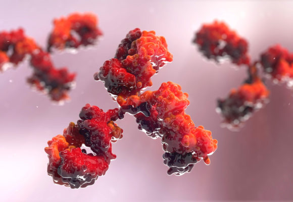 Investigational AMG 212 Shows Anti-cancer Activity in Advanced mCRPC in Phase 1 Trial