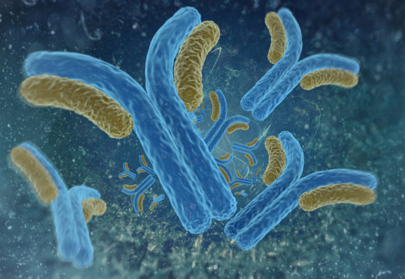 Darzalex Combo Extends Survival in Newly Diagnosed Myeloma Patients, Phase 3 Trial Shows