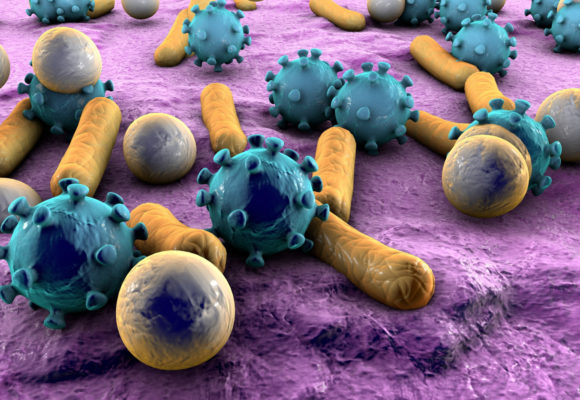 Antibiotics Altering Gut Bacteria Reduced Alzheimer’s Symptoms, But Only in Male Mice, Study Shows