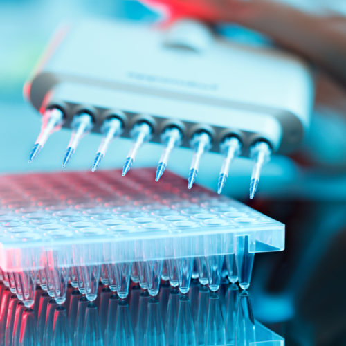 Liquid Biopsy Assay Being Utilized in Zejula Trials for PC