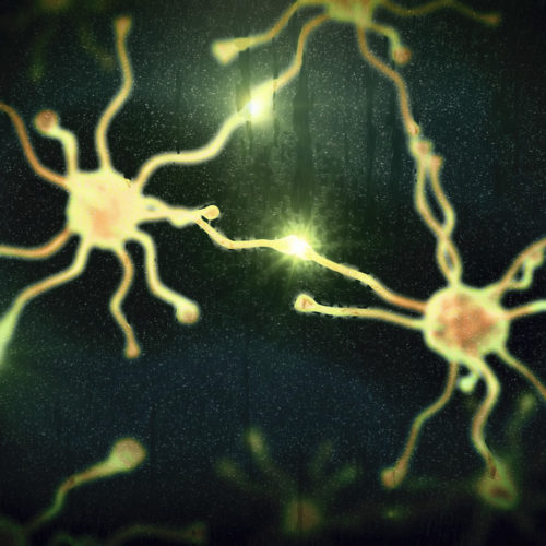 Therapeutic Inhibitors of LIMK1 May Help Halt Cognitive Decline in Alzheimer’s, Study Suggests