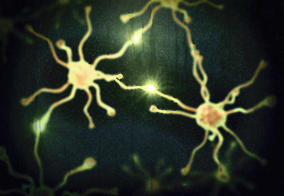 Therapeutic Inhibitors of LIMK1 May Help Halt Cognitive Decline in Alzheimer’s, Study Suggests