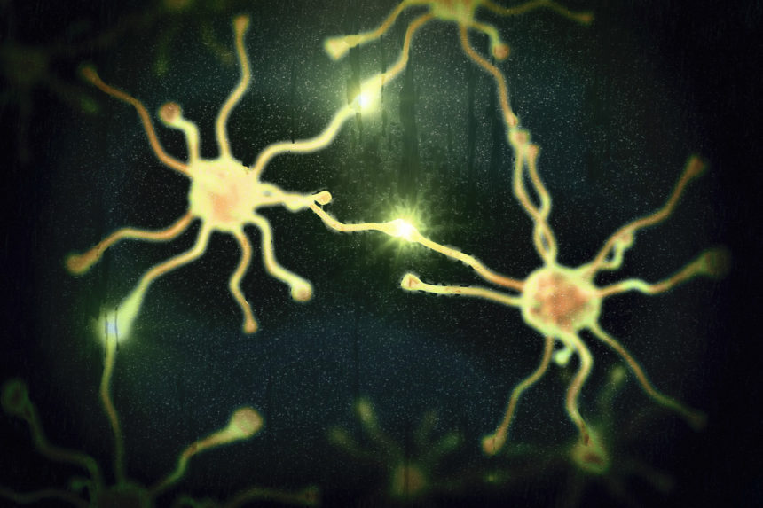 Therapeutic Inhibitors of LIMK1 May Help Halt Cognitive Decline in Alzheimer’s, Study Suggests