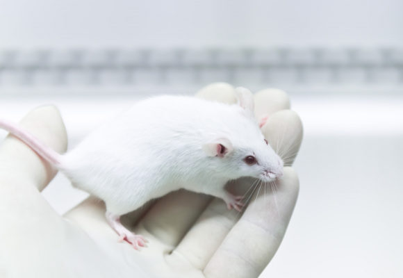 Prophylactic anti-TNF Therapy Improves Safety of Immunotherapies, Mouse Study Says