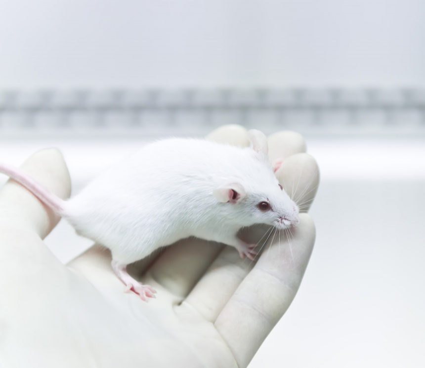 Prophylactic anti-TNF Therapy Improves Safety of Immunotherapies, Mouse Study Says