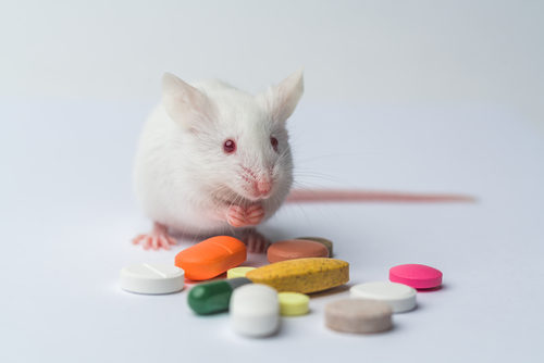 Samumed’s SM07883 Can Prevent Tau-Mediated Neuroinflammation, Neurodegeneration in Mice, Study Shows