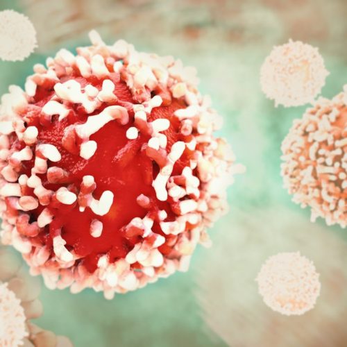 NantKwest Launches Phase 1 Trial to Assess Investigational Cell Therapy for Solid Cancers