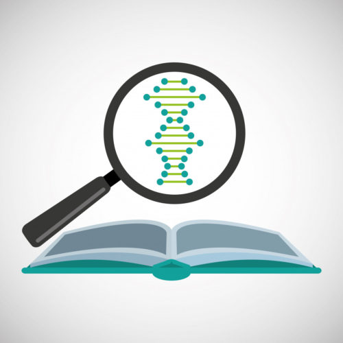BRCA Testing for Ovarian Cancer Patients Could Be Decided by Family History and Age, Study Suggests