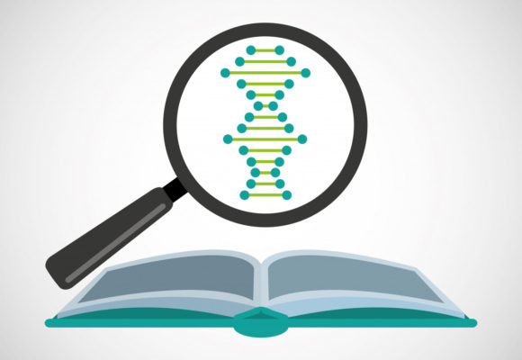 BRCA Testing for Ovarian Cancer Patients Could Be Decided by Family History and Age, Study Suggests