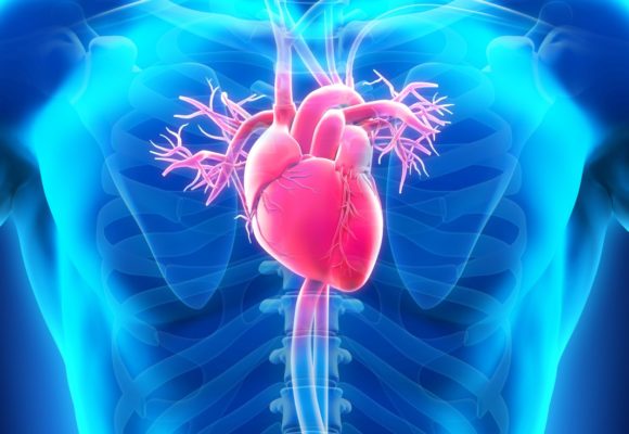 Analysis Highlights Importance of Risk Assessment in Cardiac Sarcoidosis