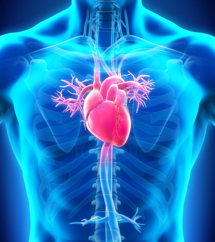 Analysis Highlights Importance of Risk Assessment in Cardiac Sarcoidosis