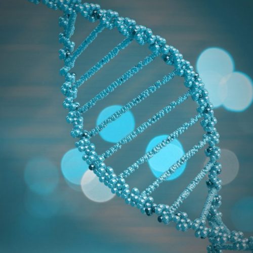 Myriad to Seek FDA Approval of Diagnostic Test to Determine Lynparza Eligibility for mCRPC Patients