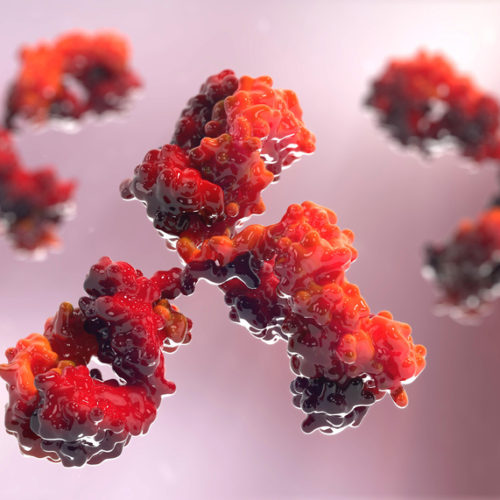 FDA Clears Way for Trial of Immunotherapy in Advanced Prostate Cancer, Scripps Research Says