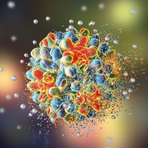 ‘Don’t Eat Me’ Signal CD24 May Be Promising Therapeutic Target for Ovarian and Breast Cancers, Study Says