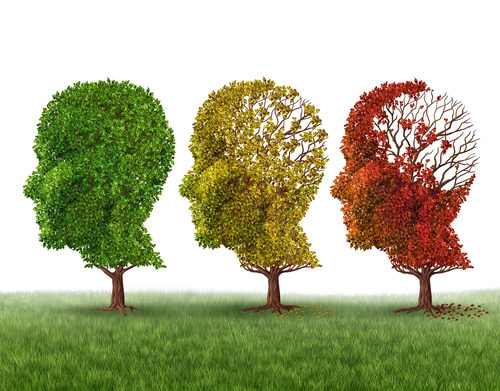 TREM2 Protein May Slow Memory Impairment in Alzheimer’s, Study Suggests