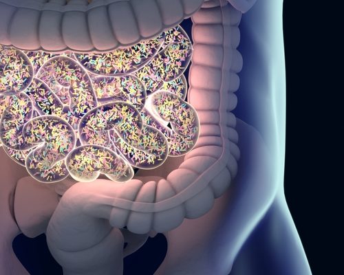 Diet Directly Affects Gut Bacteria and May Contribute to Alzheimer’s Progression, Pilot Study Suggests