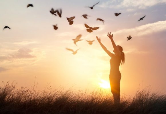 FDA Grants Abexinostat Fast Track Status for Follicular Lymphoma