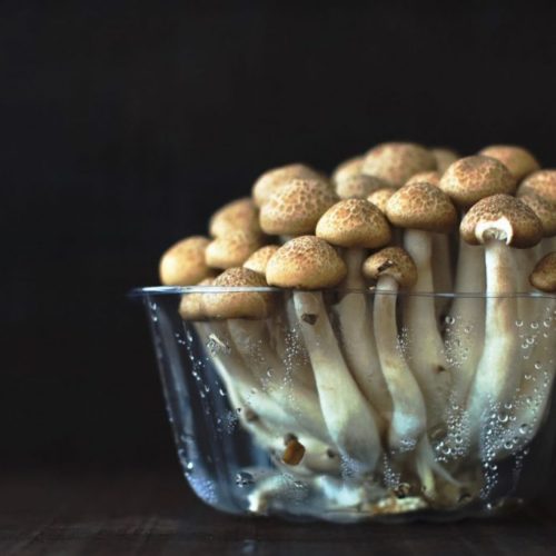 Eating Mushrooms May Prevent Prostate Cancer, Japanese Study Suggests