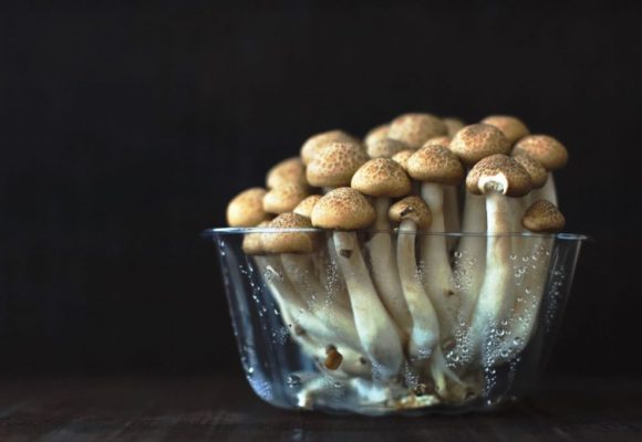 Eating Mushrooms May Prevent Prostate Cancer, Japanese Study Suggests