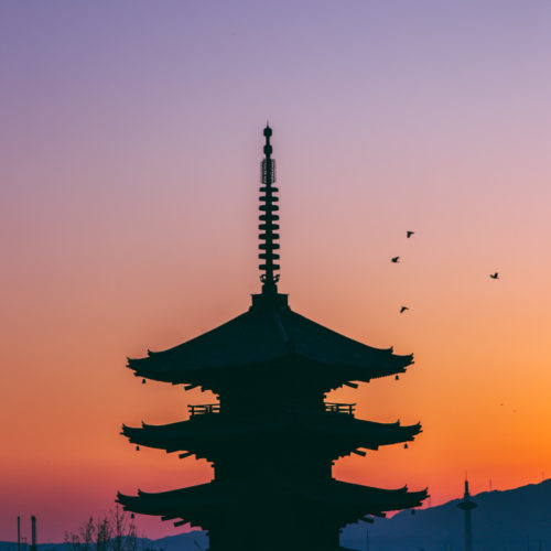 Daiichi Sankyo Files New Drug Application for DS-8201 in Japan