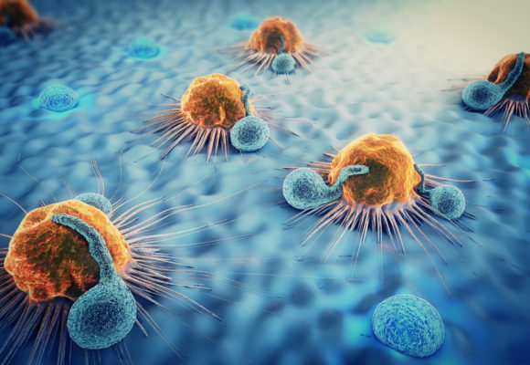 Surface Oncology Asking to Open Trial of Antibody Therapy for Advanced Solid Cancers