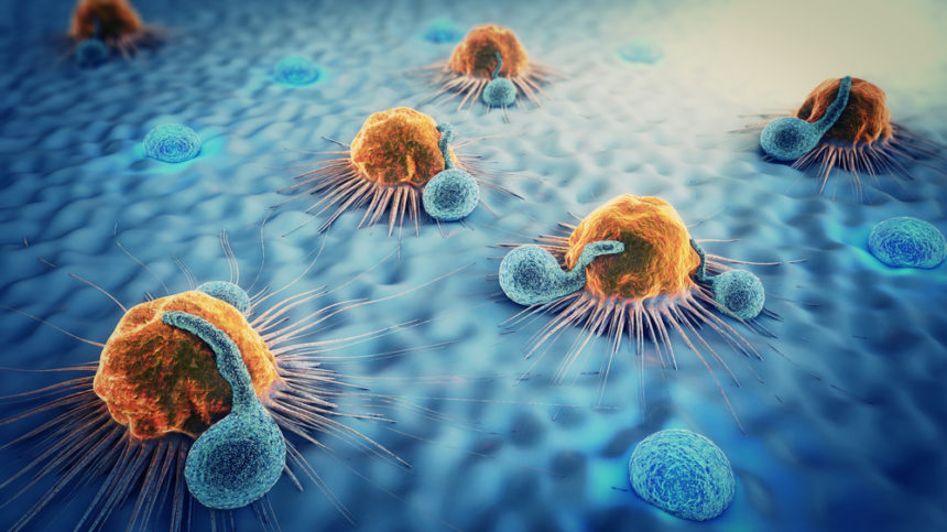 Surface Oncology Asking to Open Trial of Antibody Therapy for Advanced Solid Cancers