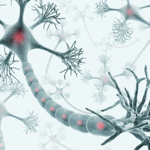 Phase 1 Trial for Potential Alzheimer’s Therapy Yields Positive Results