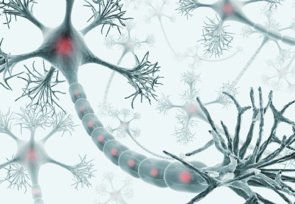 Phase 1 Trial for Potential Alzheimer’s Therapy Yields Positive Results