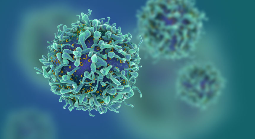 FDA Clears FT819 CAR T-cell Therapy for Clinical Testing in Lymphoma, Leukemia