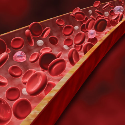 Specific Tau Protein Shows Potential as Blood Biomarker in Early Studies