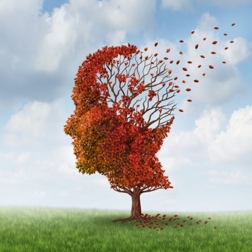 Donanemab Found to Slow Cognitive, Functional Decline in Early Alzheimer’s